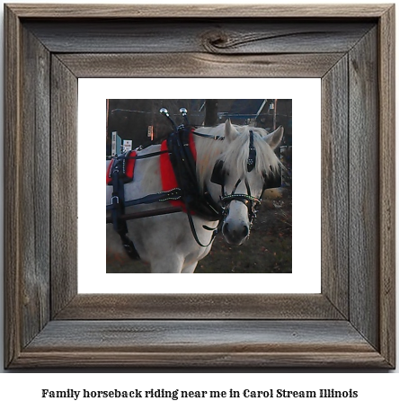 family horseback riding near me in Carol Stream, Illinois